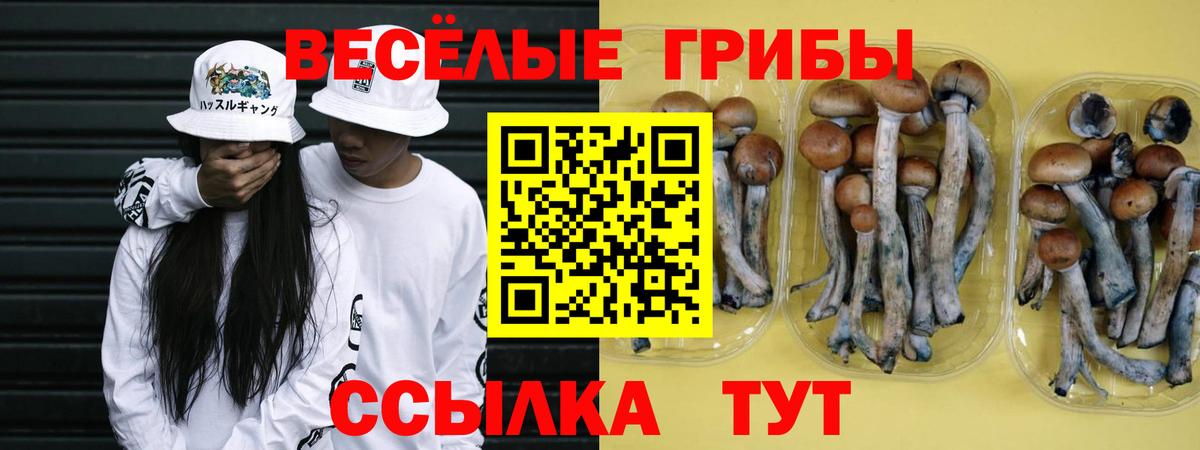 Псилоцибиновые грибы прущие грибы Сатка