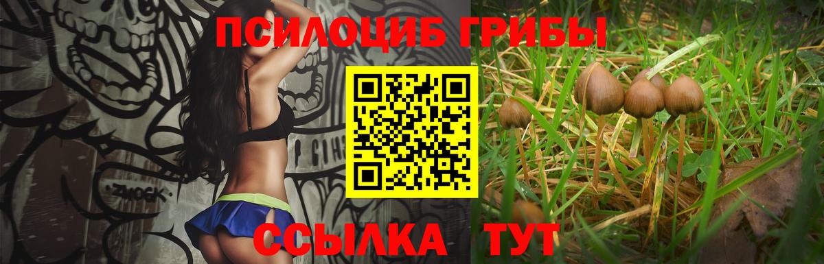 Сатка  Галлюциногенные грибы ЛСД  Вход с VPN 
